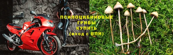 СК Ельня