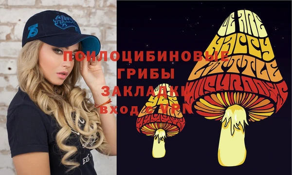 прущий лед Аркадак