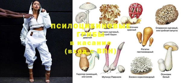 мдпв Арсеньев